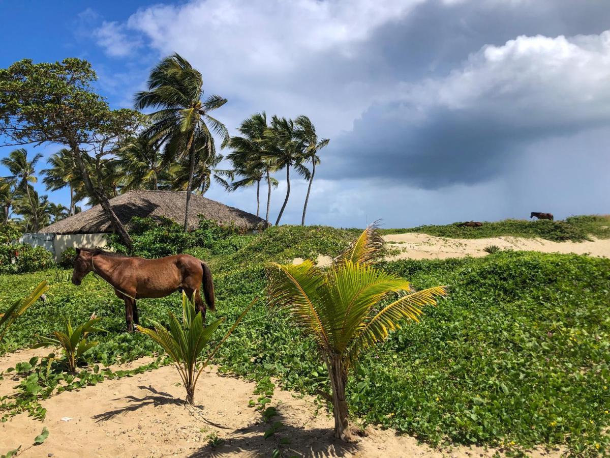Residencial Mananero Leilighet Cabarete Eksteriør bilde